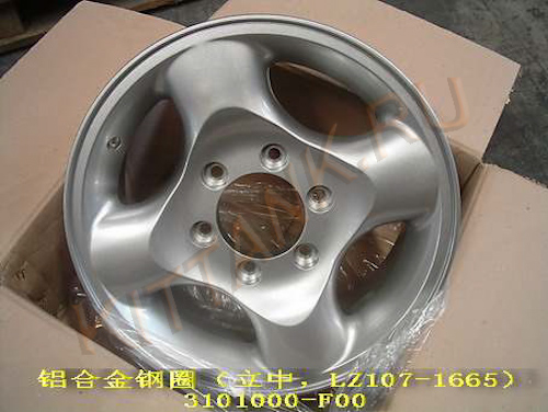   4/4 R16 GW SAFE F1, : 3101000-F00